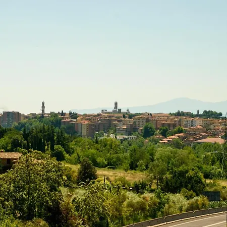 Anna Nord Siena