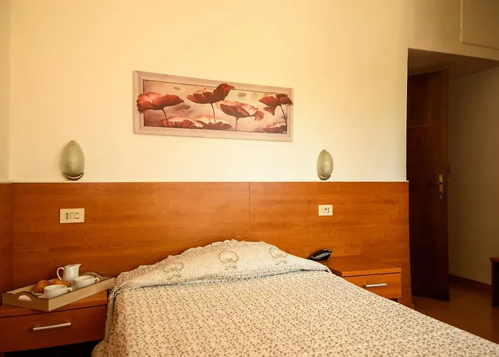 Anna Nord סיינה