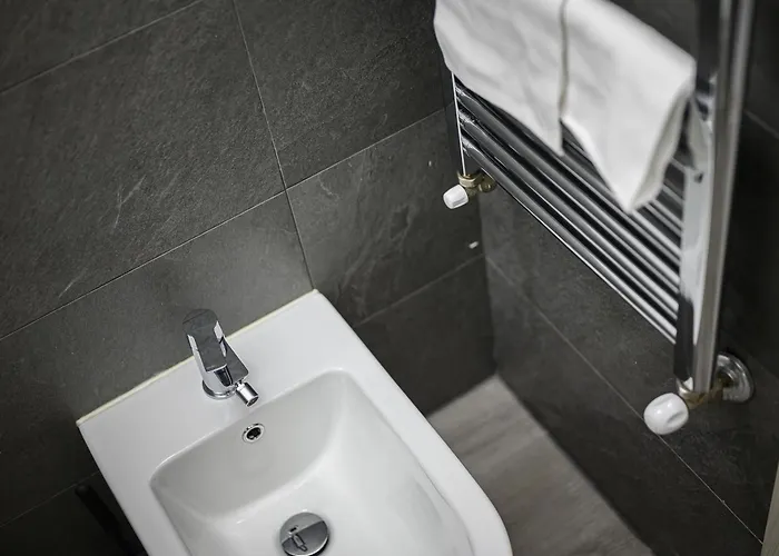 Anna Nord סיינה